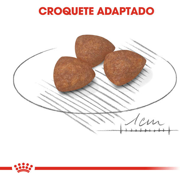 Ração Royal Canin Mini Indoor Junior para Cães Filhotes - Imagem 3