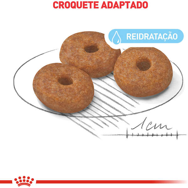 Ração Seca Royal Canin Mini Indoor Senior para Cães de Raças Pequenas - Imagem 3